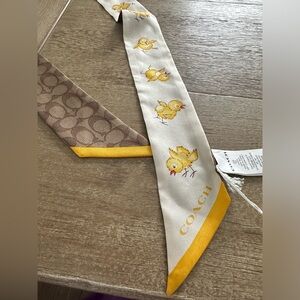 Coach scarf with chicks